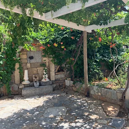Gioma Garden