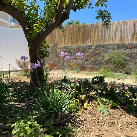 Gioma Garden Apartment Istro